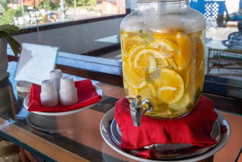 Colonna Galapagos Garden