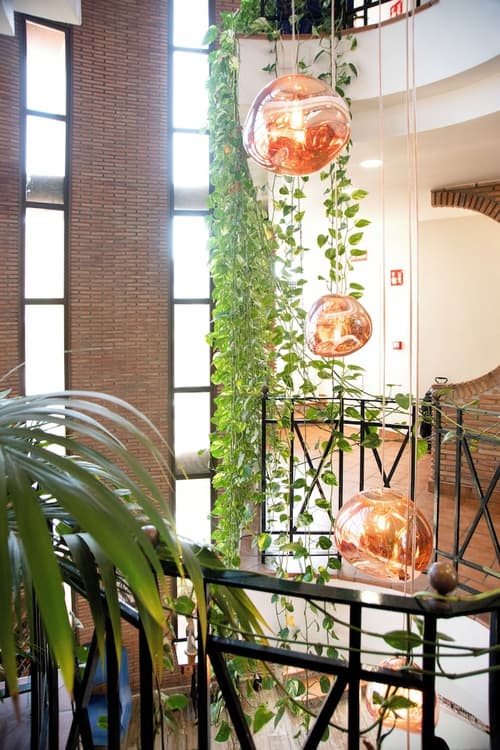 Hotel Boutique Calas de Alicante, Reception