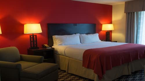 Holiday Inn St. Louis Fairview Heights by IHG, Room