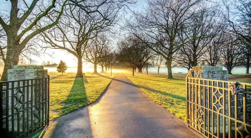 Parkview On Hagley, Park view