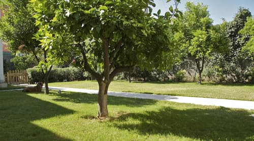 La Peonia Boutique B&B, Garden