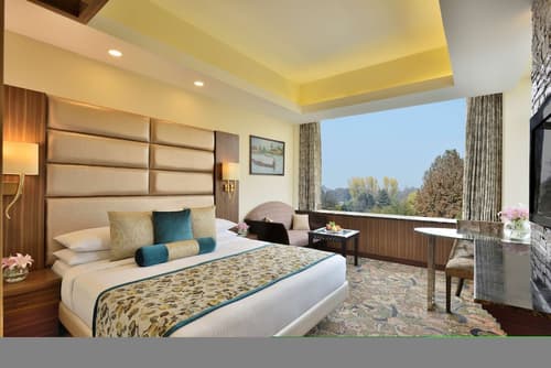 Radisson Srinagar, Room