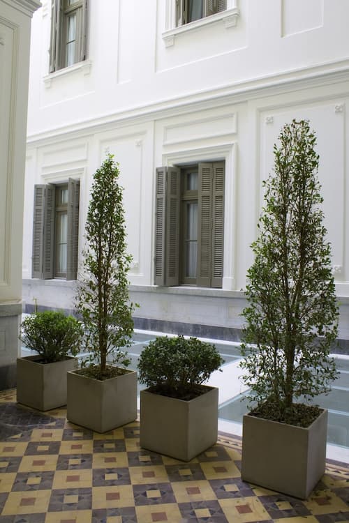 Esplendor by Wyndham Savoy Rosario, Lobby