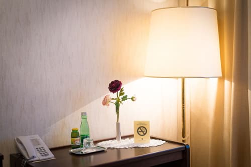 Hotel Mozart, Room