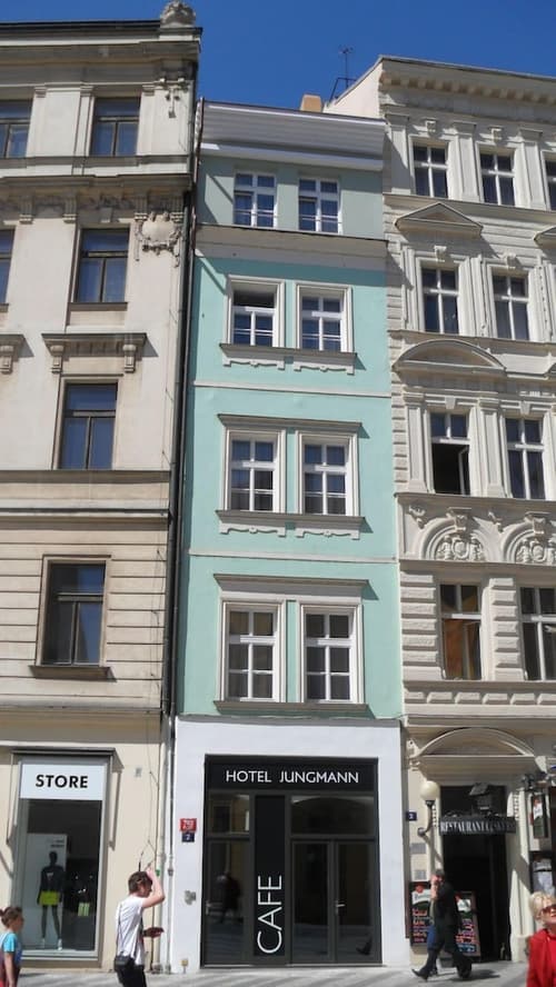 Jungmann, Primary image