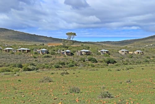 Garden Route Game Lodge