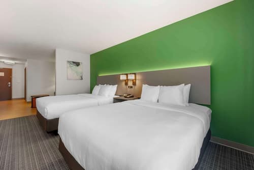 Comfort Suites Conference Center Rapid City, Room