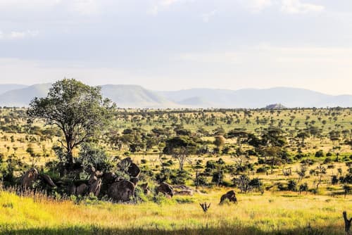 Four Seasons Safari Lodge Serengeti