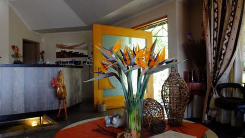 Tatenda Guesthouse, Reception