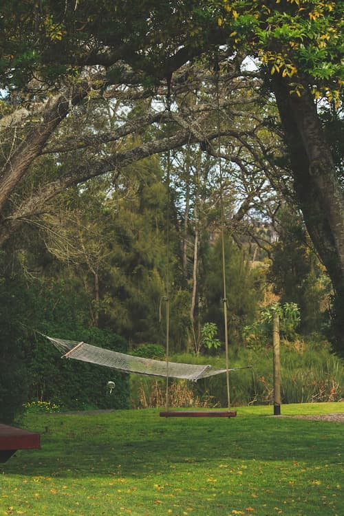 Bloomestate, Children's activities