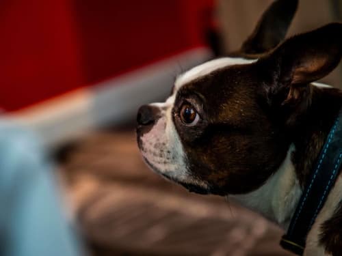 Ibis Styles Glasgow Central, Room