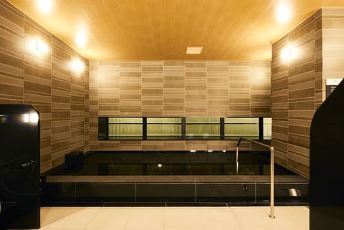Hotel Intergate Hiroshima, Public bath