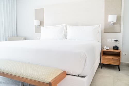 Senator Puerto Plata, Room