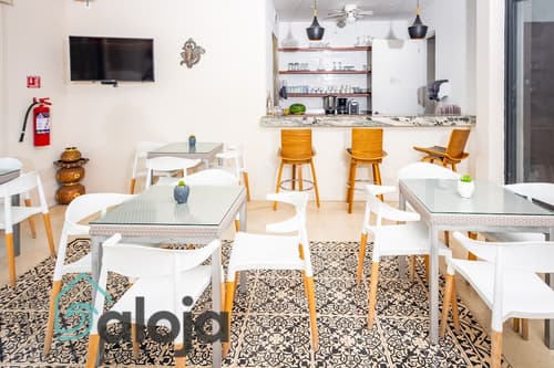 Zendero Tulum, Reception