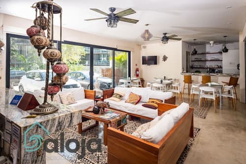 Zendero Tulum, Reception