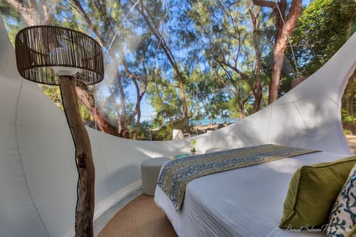 Bubble Lodge Ile aux Cerfs, Room