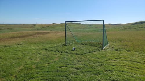Aurora Cabins, Property grounds