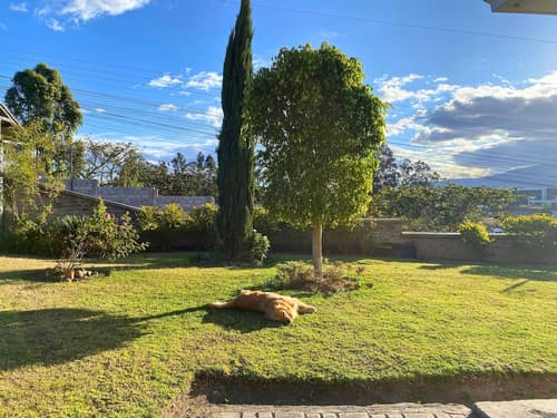 Las Hortensia's Casa De Huéspedes, Property grounds