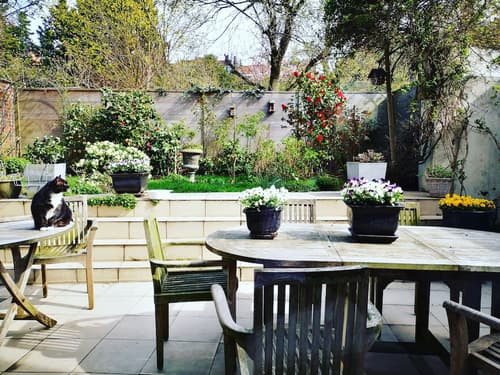 B&B Het Leuvens Hof, Garden view