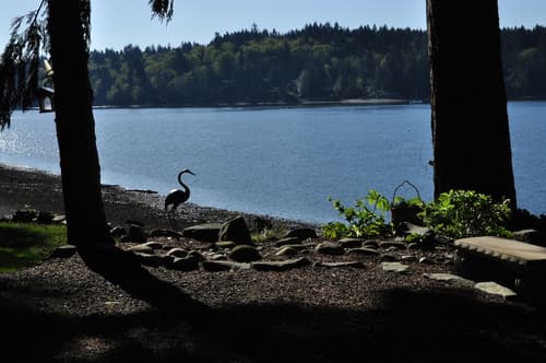 The Heron House, Beach