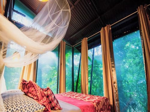 La Shamana Ecological, Concept in the Jungle, Room