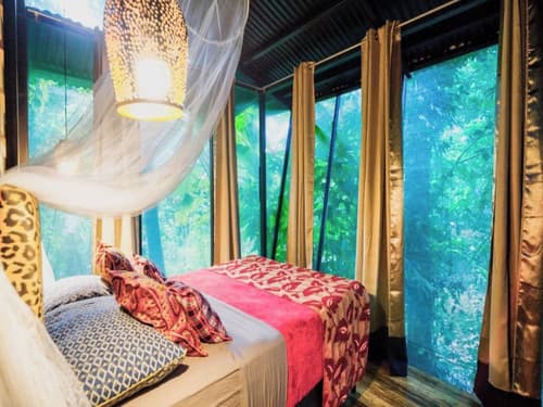 La Shamana Ecological, Concept in the Jungle, Room