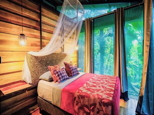 La Shamana Ecological, Concept in the Jungle, Room