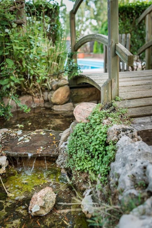 Hostal Restaurante Rijujama, Property grounds