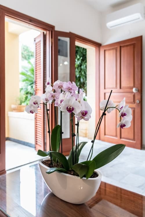 Anais Collection Hotels & Suites