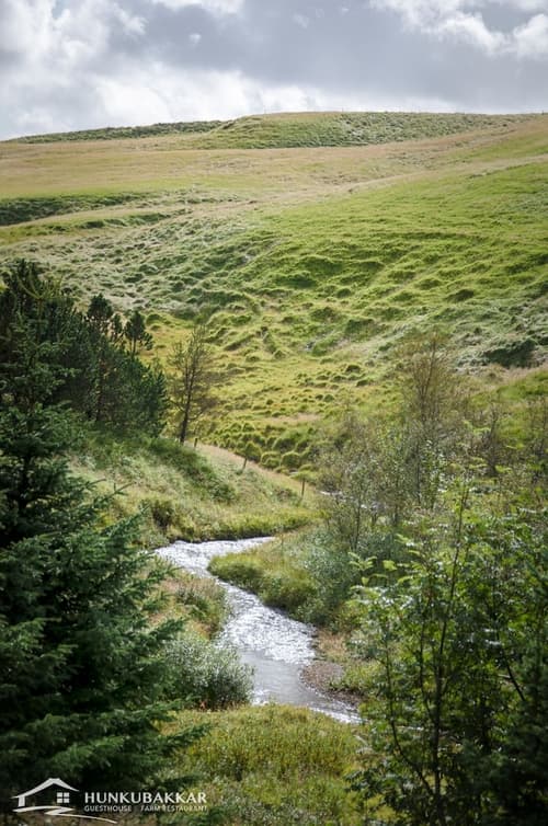 Hunkubakkar Guesthouse, View from room