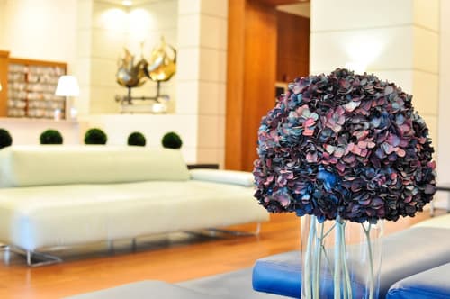 iCoconutGrove Vacation Rentals, Reception