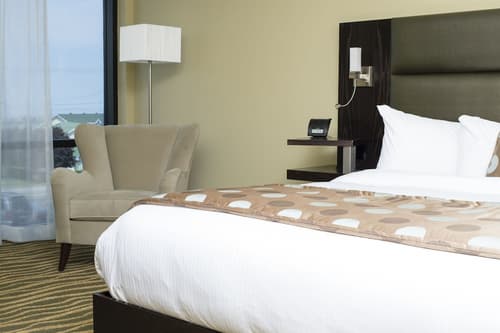 Hôtel Levesque, Room