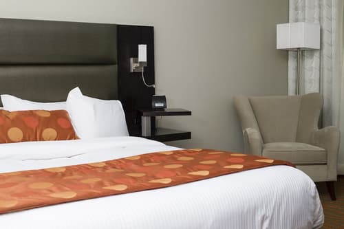 Hôtel Levesque, Room