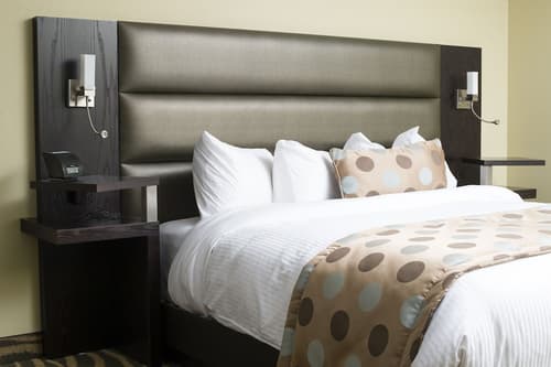 Hôtel Levesque, Room