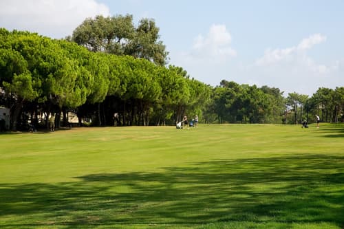 Interpass Golf Playa Country Club, Golf