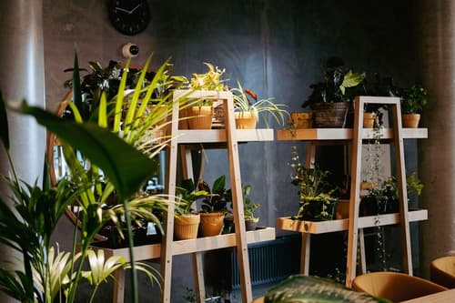 Hotel GUESTapart, Lobby