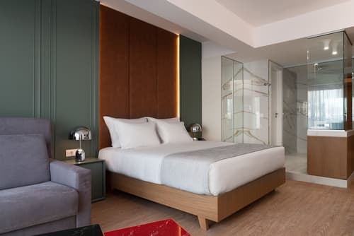 Elia Ermou Athens Hotel, Room