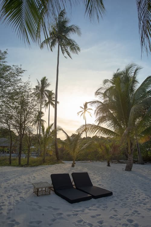 Tamu Koh Rong, Reception