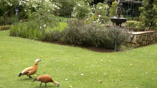 Highland Rose Country House & Serenity Spa, Garden