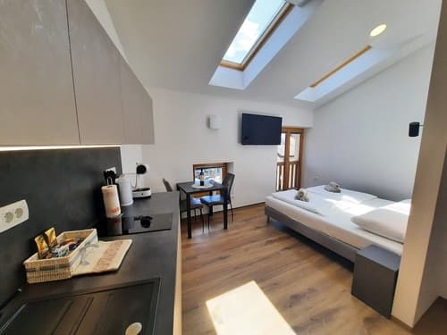 Apartments Hlapi with SPA, Room