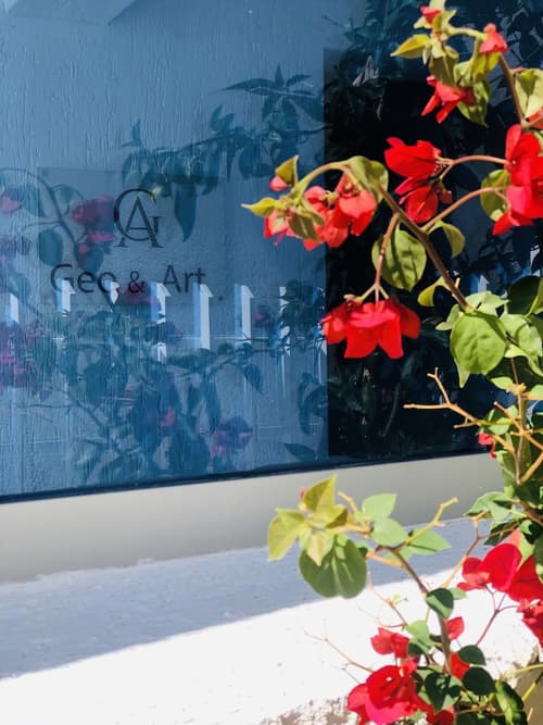 Geo & Art Boutique Hotel