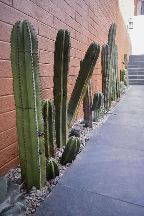 Hotel Casa Santo Tomás