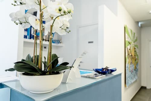 Essenza Hotel, Reception