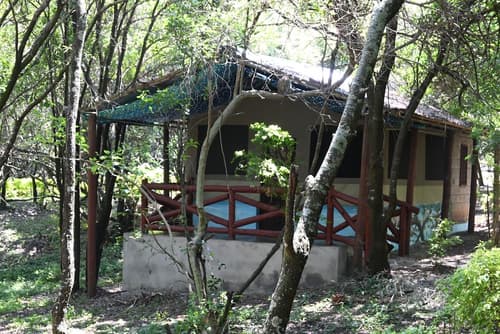 Drunken Elephant Mara, Terrace/patio