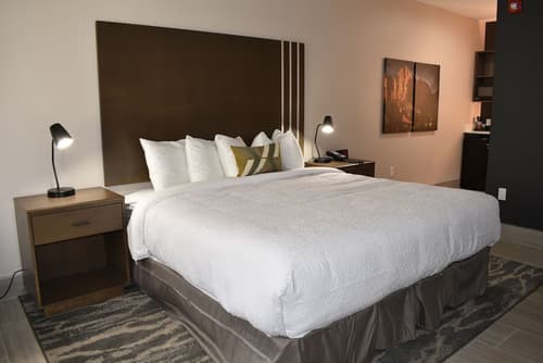 Zion Canyon Lodge, Room