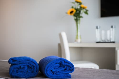 Aparthotel Esquinzo Y Monte Del Mar, Room