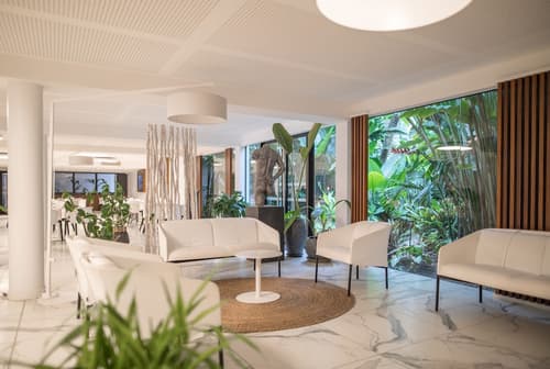 Ness By D-Ocean, Reception