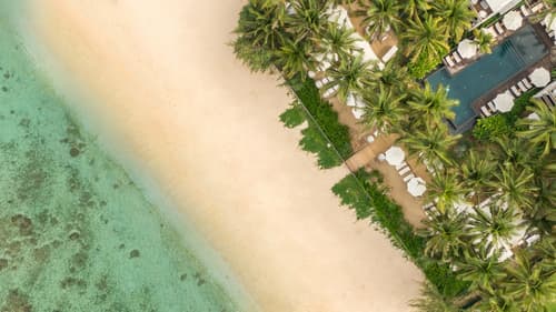 Ness By D-Ocean, Primary image