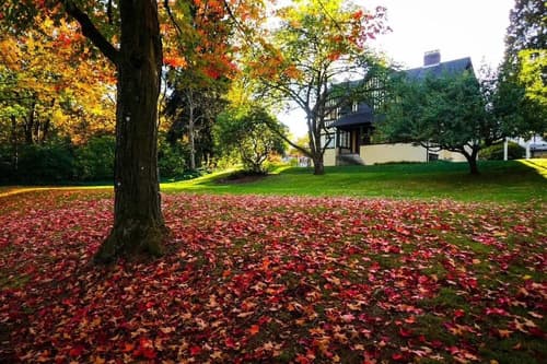 The Sunshine House, Breakfast meal