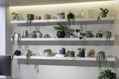 Brady Hotels Jones Lane, Lobby